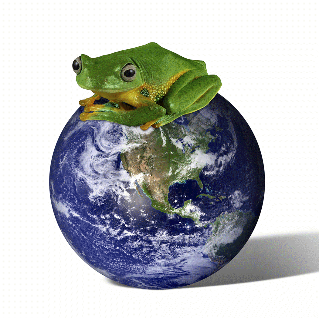 Amphibians really matter to the health of this planet.  Image from Microsoft clipart.